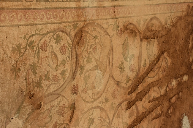 Adıyaman'da 9 yıl önce bulunan mozaik ziyarete açılıyor